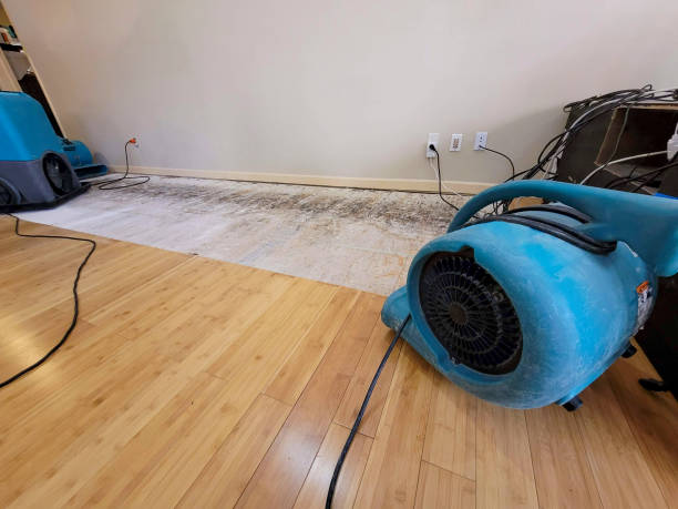 Professional Water Removal technician working in Ninnekah, OK